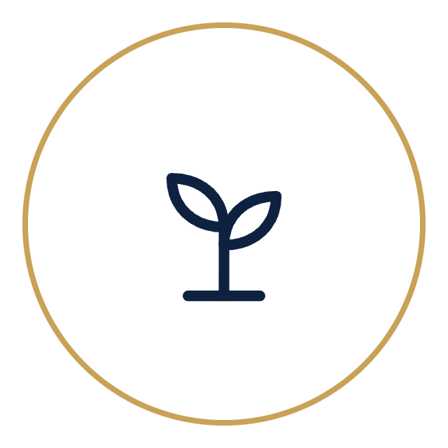 emerging-leader-development